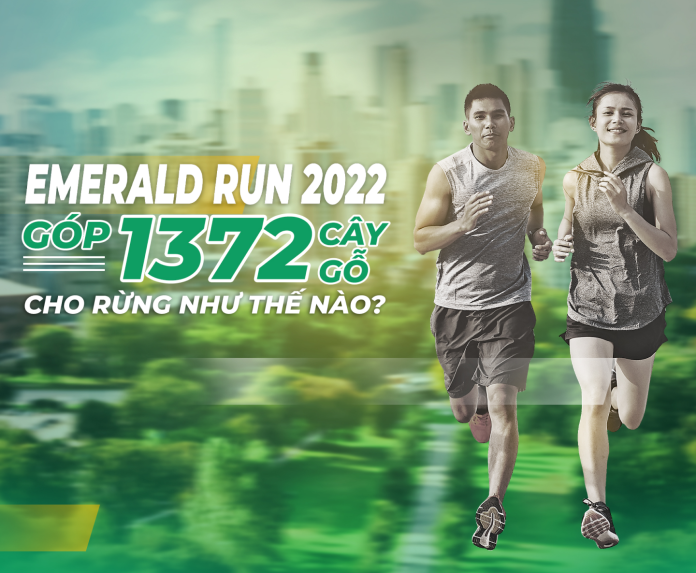 emerald-run-2022-gop-1372-cay-go-cho-rung-nhu-the-nao
